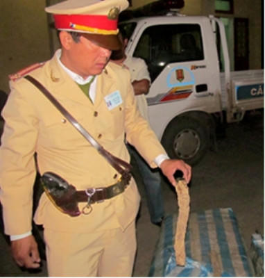 Phát hiện gỗ lạ nhập từ Malaysia bằng đường hàng không